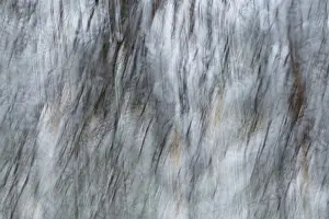 Intentional Camera Movement Drucke: Intentional camera movement (ICM)