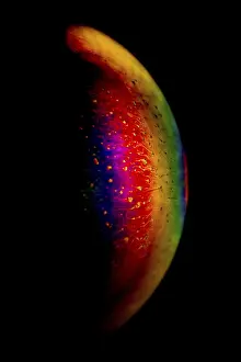 Natural Scientific Research Drucke: Interference of equal thickness