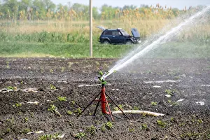Agricultural Technology Drucke: Irrigation system in field of melons