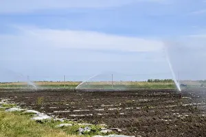 Agriculture Technology Drucke: Irrigation system in field of melons