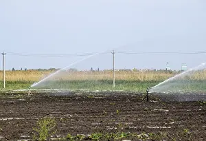 Automatic Watering System Drucke: Irrigation system in field of melons