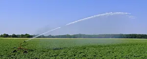 Agricultural Land Use Germany Drucke: Irrigation of the fields, drought