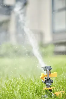 Drucke von Bewässerung mit programmierbarer automatischer Drehdusche Straßenkunst Graffiti Drucke: Bewässerung mit programmierbarer automatischer Dreh-Sprinkler.