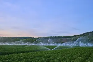 Lower Franconia Landscape Photography Drucke: Irrigation systems work under a blue evening sky on vast fields