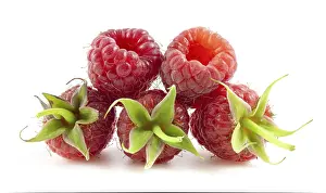 Studio Shot Raspberries Drucke: Isolated raspberry berries on a white background