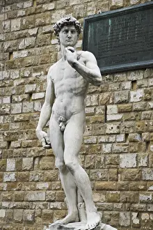 Drucke von Italien, Toscana, Florenz. David von Michelangelo, Piazze della Signoria, Österreich Michelangelo Buonarroti Drucke: Italien, Toscana, Florenz. David von Michelangelo.