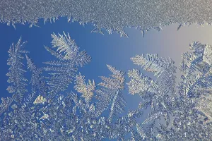 Ice Crystal Formation Drucke: Frost on a window