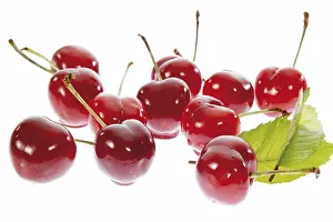 Fresh Cherries Drucke: Juicy cherries