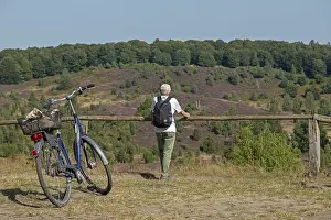 German Nature Preserve Drucke: Juniper (Juniperus communis), bicycle