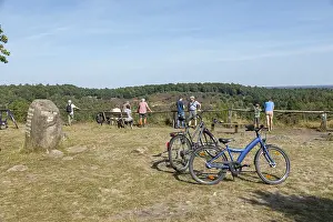 Juniper Tree Drucke: Juniper (Juniperus communis), people