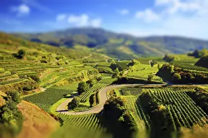 German Wine Region Drucke: Kaiserstuhl