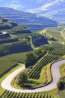 European Uplands Photography Drucke: Kaiserstuhl