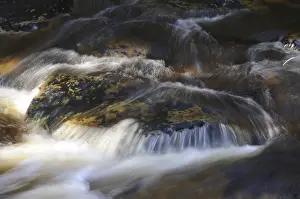 Mountain Creek Europe Drucke: Kalte Bode, autumn, Kalte, Bode