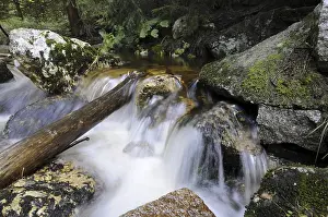 Harz Mountains Waterfall Drucke: Kalte Bode, autumn, Kalte, Bode