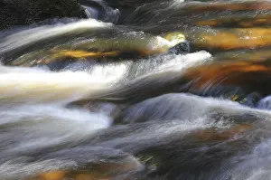 Mountain Creek Europe Drucke: Kalte Bode, autumn, Kalte, Bode