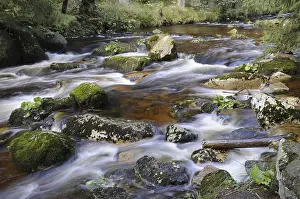 Mountain Stream Water Flow Drucke: Kalte Bode, autumn, Kalte, Bode