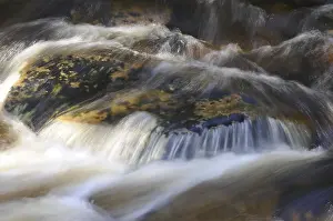 Mountain Stream Water Flow Drucke: Kalte Bode, autumn, Kalte, Bode