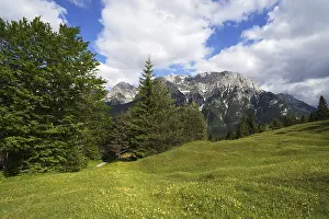 Karwendelgebirge, blühende Frühlingswiese am Vordergrund.