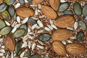 Almond Kernels Drucke: Kernels, mix of almond kernels