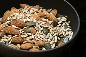 Sunflower Seed Mix Drucke: Kernels in shell, kernel mix of almond seeds