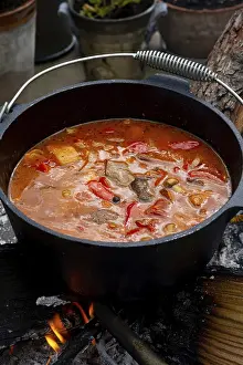Open Fire Cooking Drucke: Kettle Gulash is prepared over an open fire!