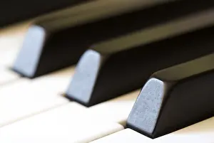 Black And White Studio Photography Drucke: Keyboard