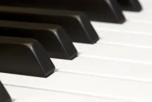 Black And White Studio Photo Drucke: Keyboard