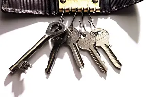 Live Studio Shot Drucke: Several keys