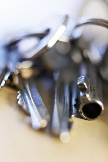Studio Shot Of Keys Drucke: Keys on a key ring