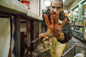 Bird Photography Africa Drucke: Killing of chickens, souk of Marrakech