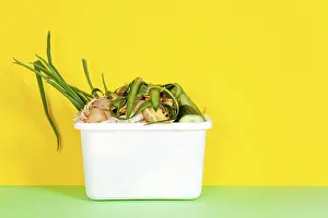 Zero Waste Concept Drucke: Kitchen composting bin. Peeled vegetables in white compost bin on multi colored background