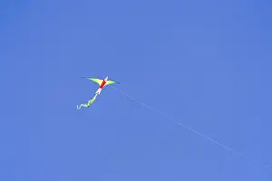 Autumn Landscape Drucke: A kite
