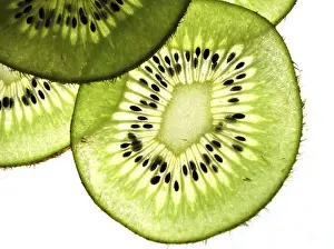 Exotic Fruits Drucke: Kiwi fruit