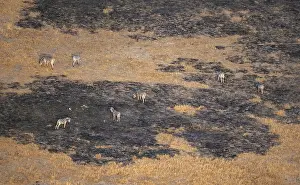 Isolated Locations Drucke: Klei