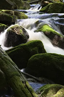 Bavarian Forest National Park Drucke: Kleinen Ohe riverbed, Waldhaeuser