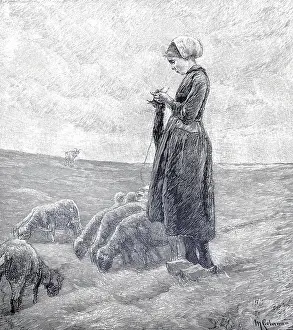 Classic European Illustration Drucke: Knitting shepherds with their flock