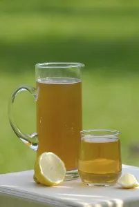 Food Preparation Still Life Drucke: Kombucha