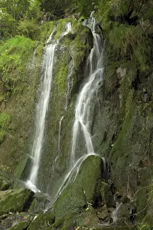 Moss Covered Waterfall Drucke: Konigshutter waterfall