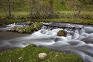 Alpine Meadow Landscape Drucke: The Kremsbach in Schonfeld