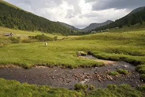 European Wilderness Area Drucke: The Kremsbach in Schonfeld