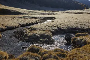 Alpine Meadow Landscape Drucke: The Kremsbach in Schonfeld