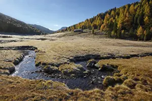 Alpine Pasture Scenery Drucke: The Kremsbach in Schonfeld