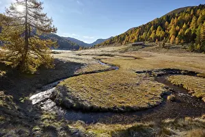 Mountain Stream Scenery Drucke: The Kremsbach in Schonfeld
