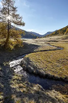 Alpine Meadow Landscape Drucke: The Kremsbach in Schonfeld