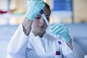 Lab Technician Drucke: Lab technician pipetting a sample in the lab