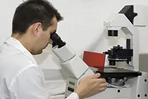 Laborforschung in einem Labor