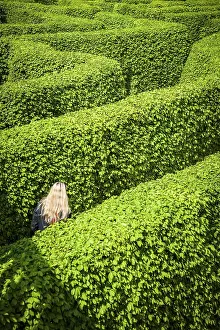 Nature In North Rhine Westphalia Drucke: Labyrinth of hedges with three people