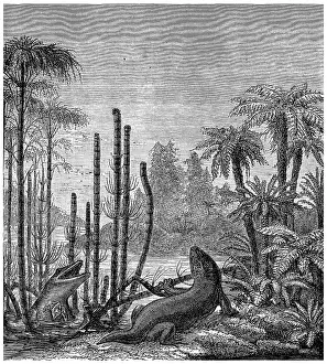 Deserted Landscape Artwork Drucke: The labyrinthodonts, mastodonsaurus