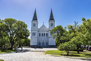 Historic City Center Brazil Drucke: Our Lady of the Conception Cathedral