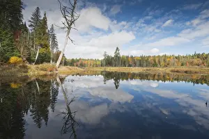 No People Waterfront Shots Drucke: Lake in Algonquin Park, Canada